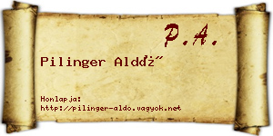 Pilinger Aldó névjegykártya